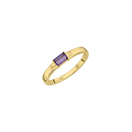 333/- Damenring | Amethyst